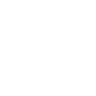 bug report icon